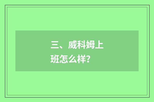 三、威科姆上班怎么样?