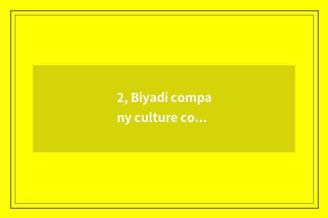2, Biyadi company culture concept?