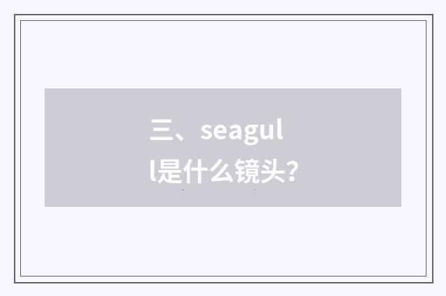 三、seagull是什么镜头？