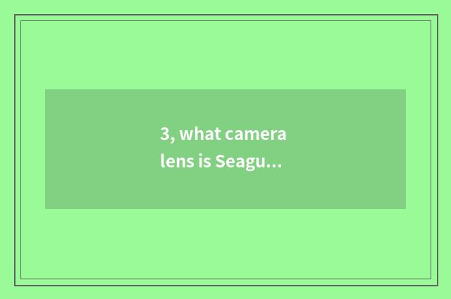 3, what camera lens is Seagull?