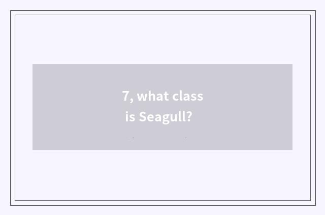 7, what class is Seagull?