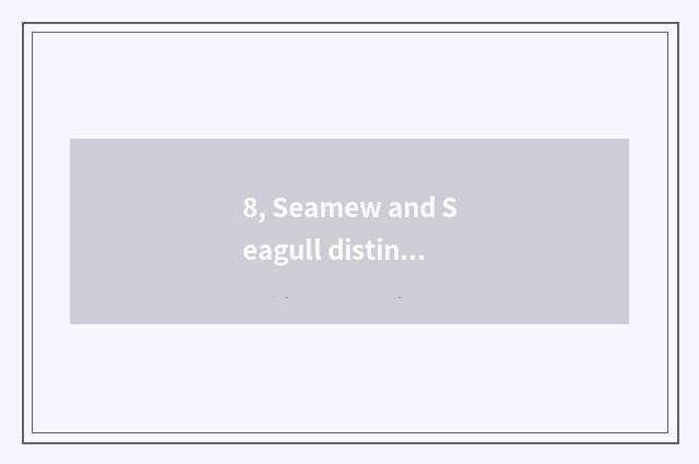 8, Seamew and Seagull distinction?