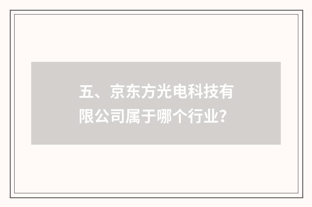五、京东方光电科技有限公司属于哪个行业？
