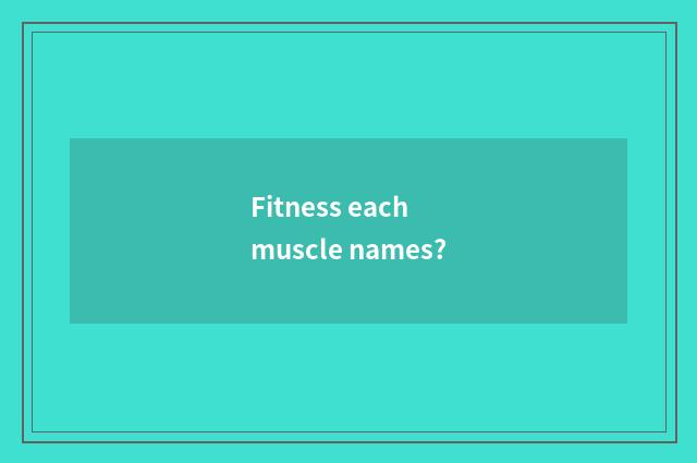 Fitness each muscle names?