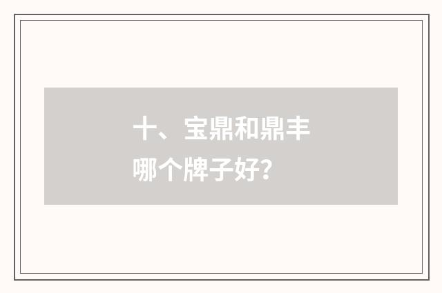 十、宝鼎和鼎丰哪个牌子好?