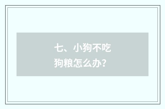 七、小狗不吃狗粮怎么办？