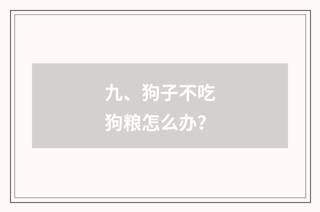 九、狗子不吃狗粮怎么办?