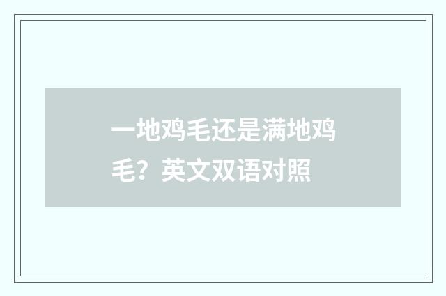 一地鸡毛还是满地鸡毛？英文双语对照