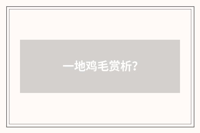 一地鸡毛赏析？