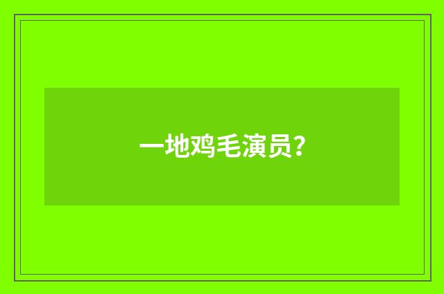 一地鸡毛演员？