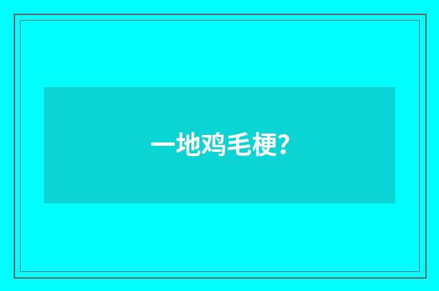 一地鸡毛梗？