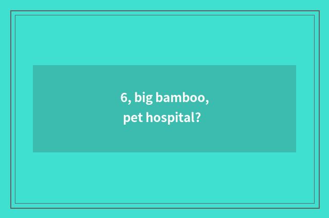 6, big bamboo, pet hospital?