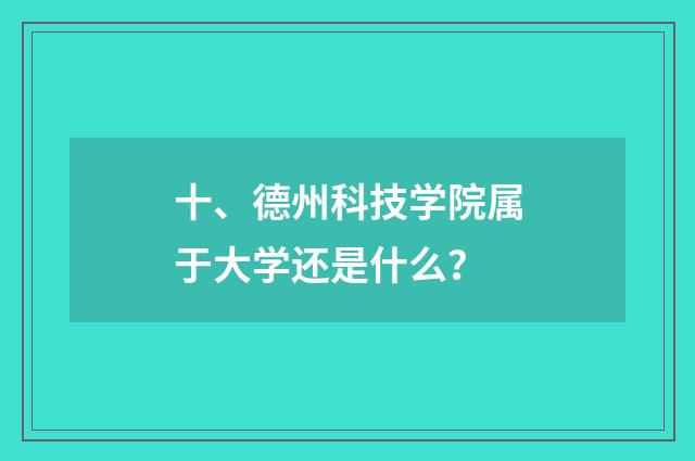 十、德州科技学院属于大学还是什么？