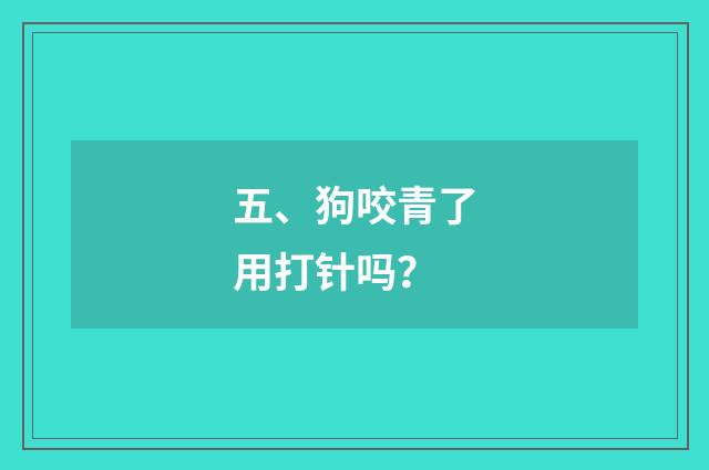 五、狗咬青了用打针吗？