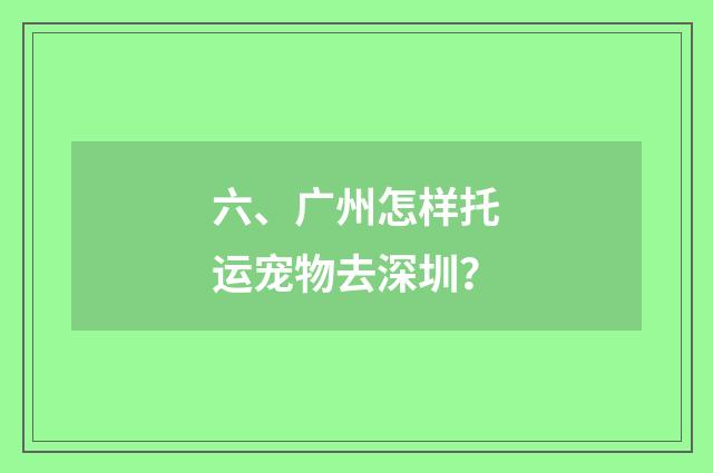 六、广州怎样托运宠物去深圳？
