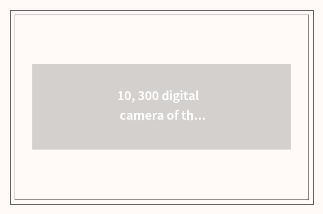 10, 300 digital camera of the left and right sides?