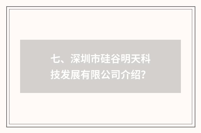 七、深圳市硅谷明天科技发展有限公司介绍?