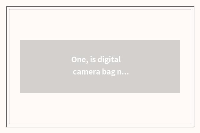 One, is digital camera bag necessary to buy?