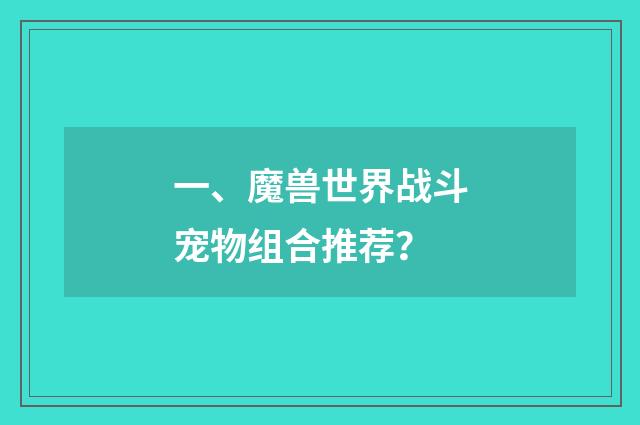 一、魔兽世界战斗宠物组合推荐?