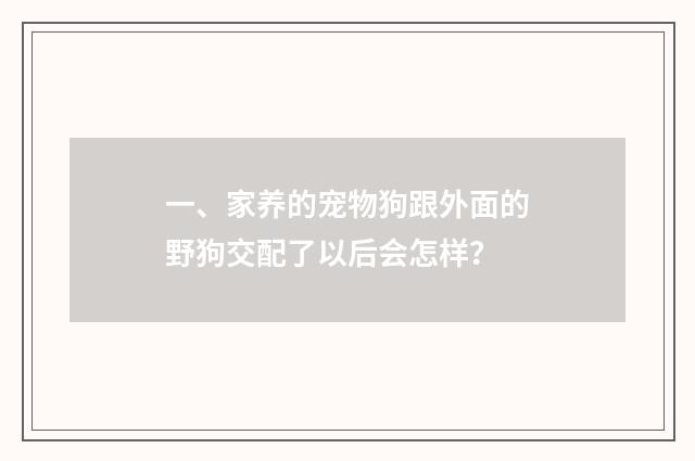 一、家养的宠物狗跟外面的野狗交配了以后会怎样？