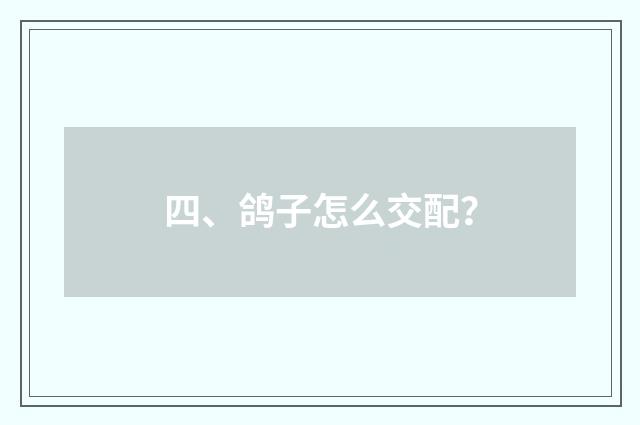 四、鸽子怎么交配？