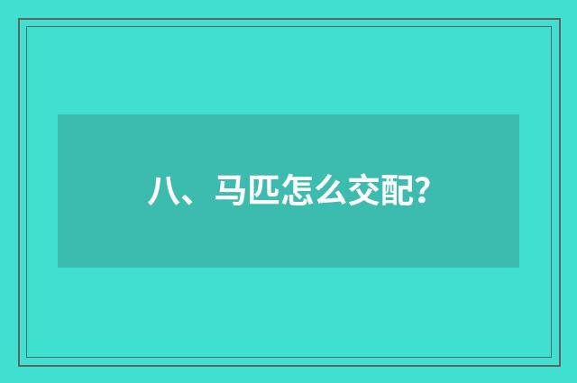 八、马匹怎么交配？