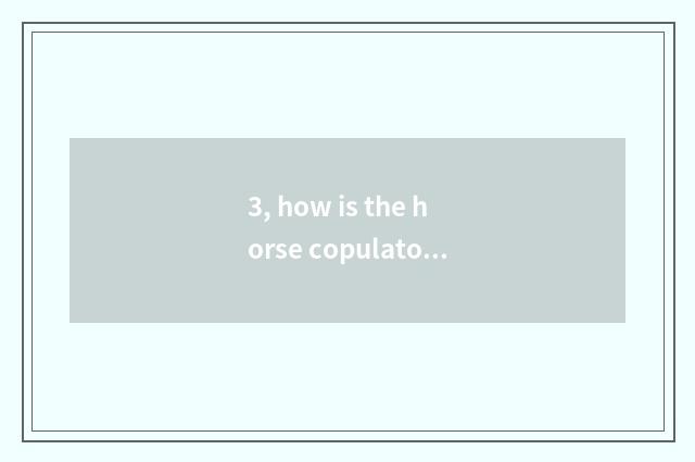 3, how is the horse copulatory?