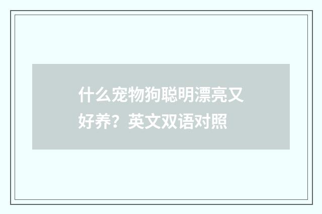 什么宠物狗聪明漂亮又好养？英文双语对照