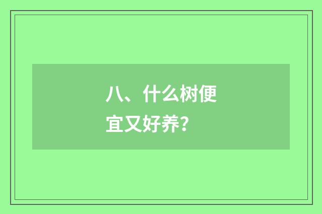 八、什么树便宜又好养？