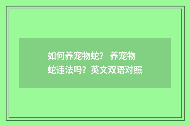如何养宠物蛇? 养宠物蛇违法吗?英文双语对照