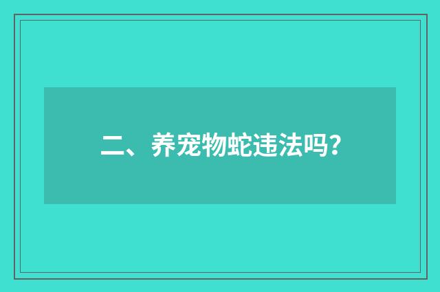 二、养宠物蛇违法吗？