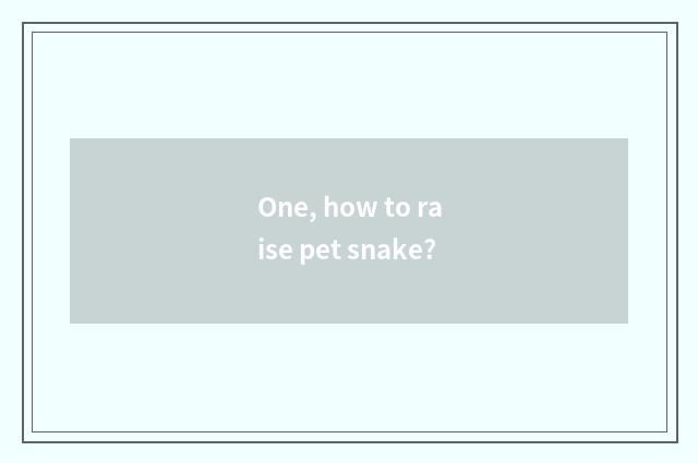 One, how to raise pet snake?