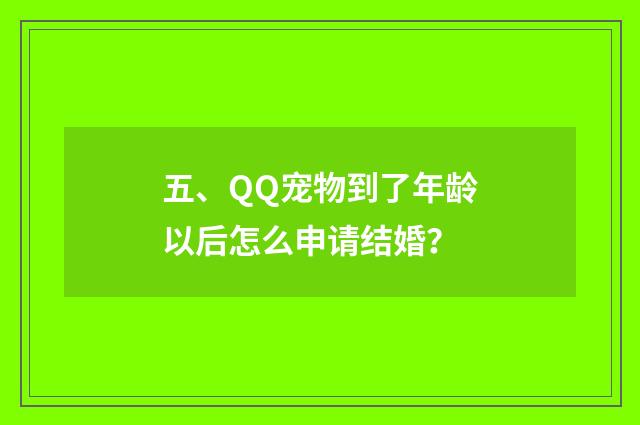 五、QQ宠物到了年龄以后怎么申请结婚？