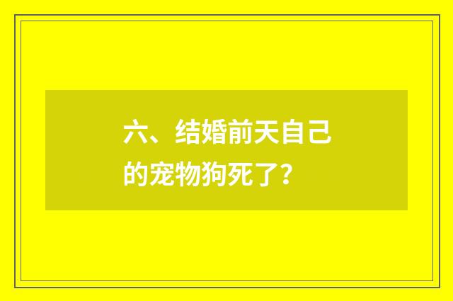 六、结婚前天自己的宠物狗死了？