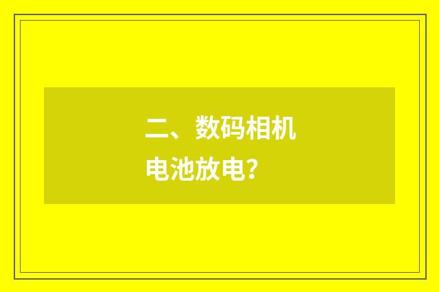 二、数码相机电池放电？