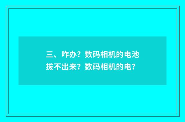 三、咋办？数码相机的电池拔不出来？数码相机的电？