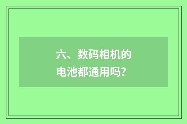 六、数码相机的电池都通用吗？