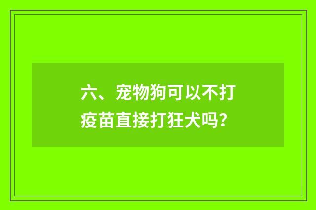 六、宠物狗可以不打疫苗直接打狂犬吗？