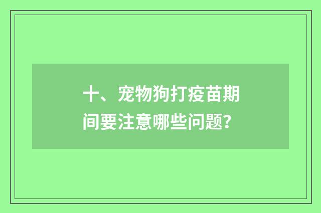 十、宠物狗打疫苗期间要注意哪些问题?