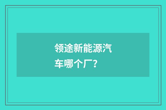 领途新能源汽车哪个厂？