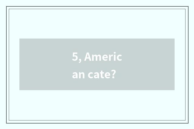 5, American cate?