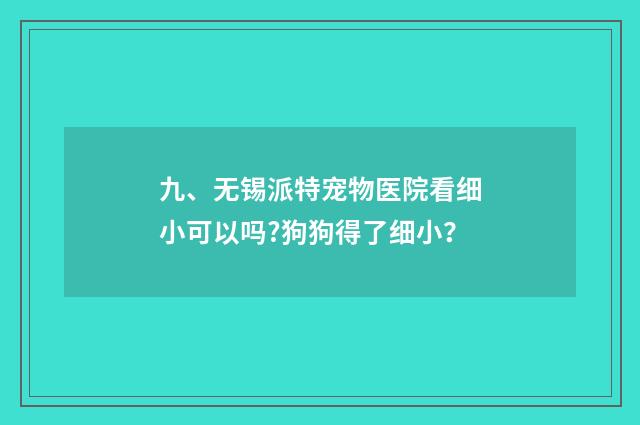 九、无锡派特宠物医院看细小可以吗?狗狗得了细小？