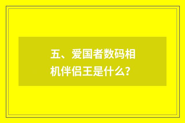 五、爱国者数码相机伴侣王是什么？