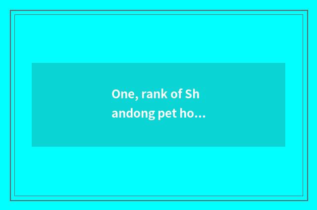 One, rank of Shandong pet hospital?