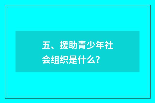 五、援助青少年社会组织是什么?
