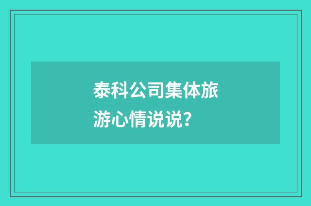 泰科公司集体旅游心情说说?