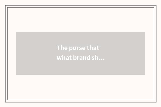 The purse that what brand should the undergraduate buy is practical vogue?