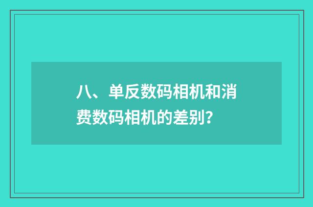 八、单反数码相机和消费数码相机的差别？