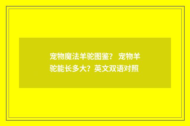 宠物魔法羊驼图鉴? 宠物羊驼能长多大?英文双语对照