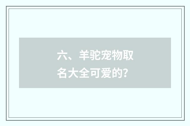 六、羊驼宠物取名大全可爱的?